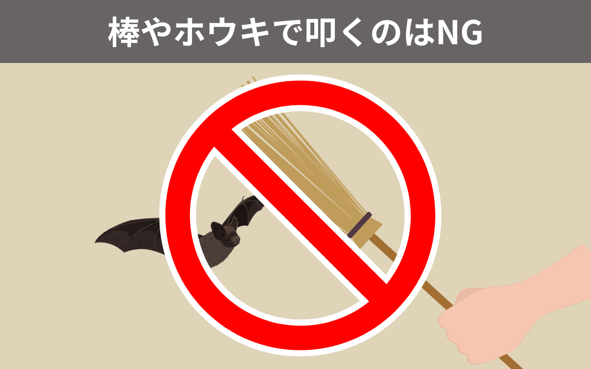 棒やホウキで叩くはのNG