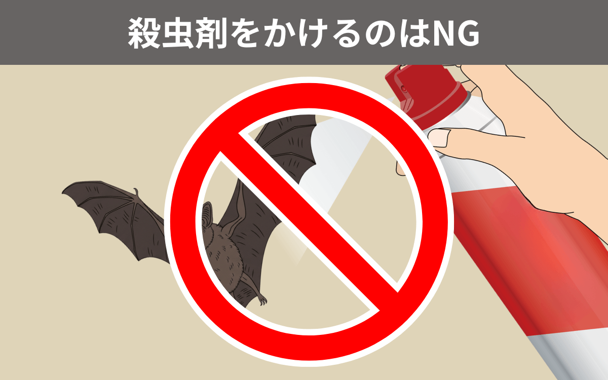 殺虫剤をかけるのはNG