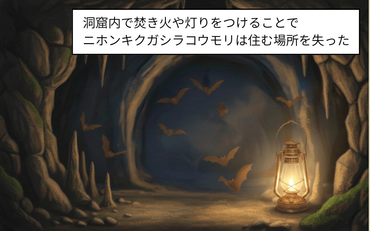 自然洞窟の環境悪化