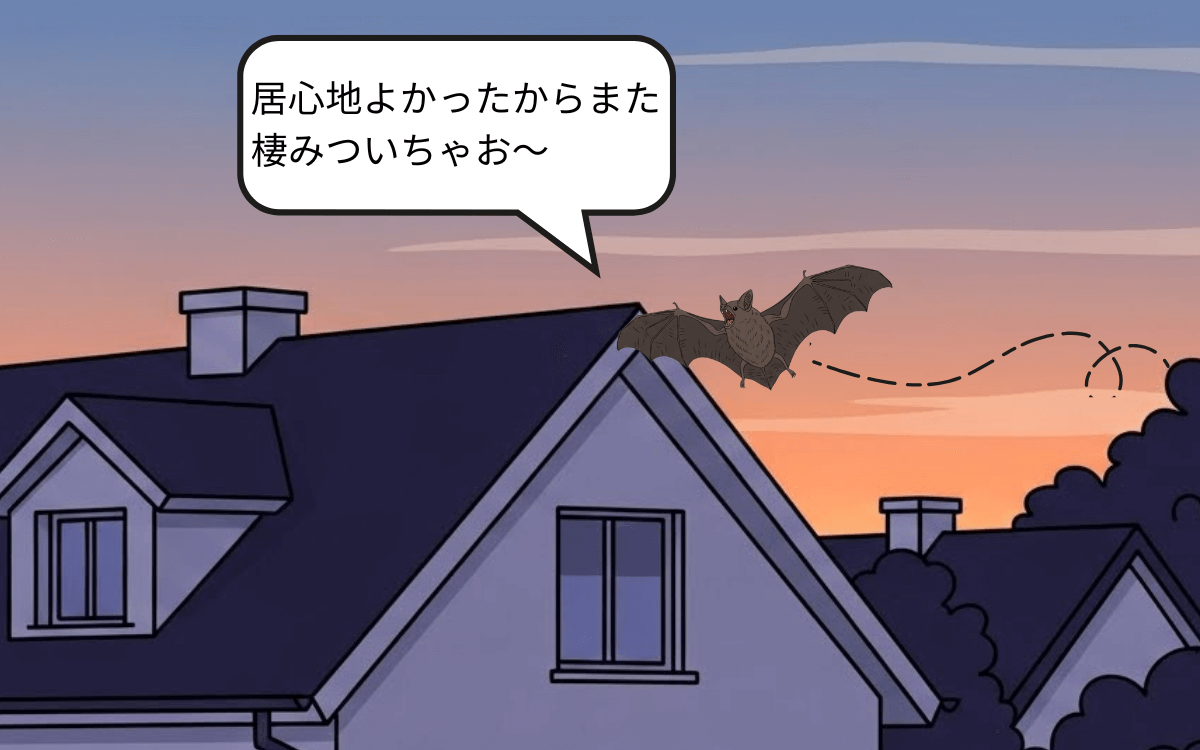 コウモリは帰巣本能が強い