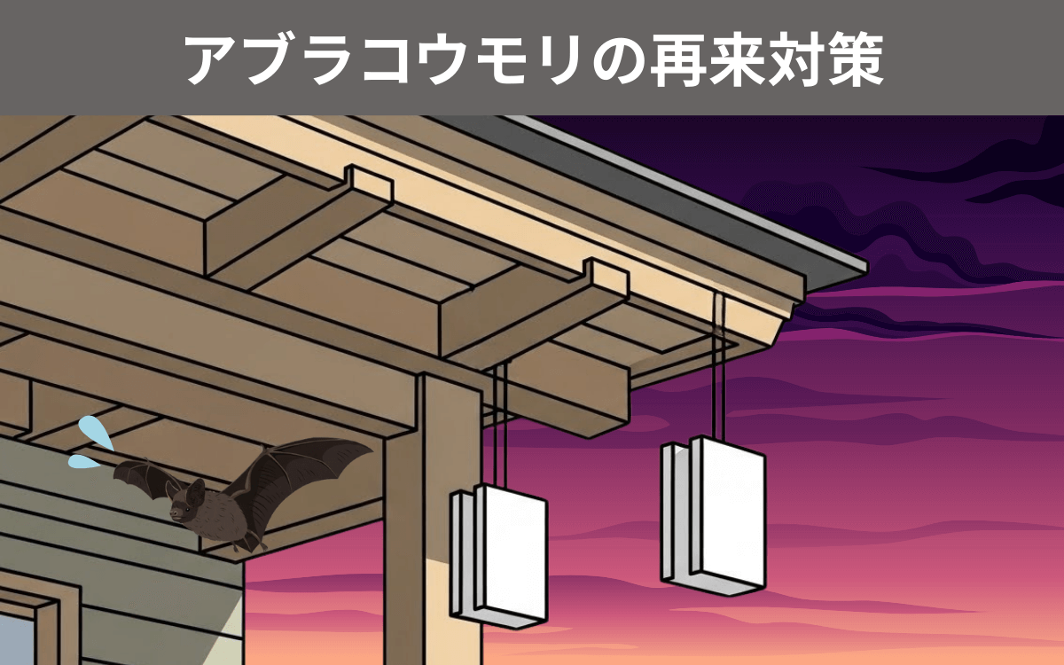 アブラコウモリの再来対策