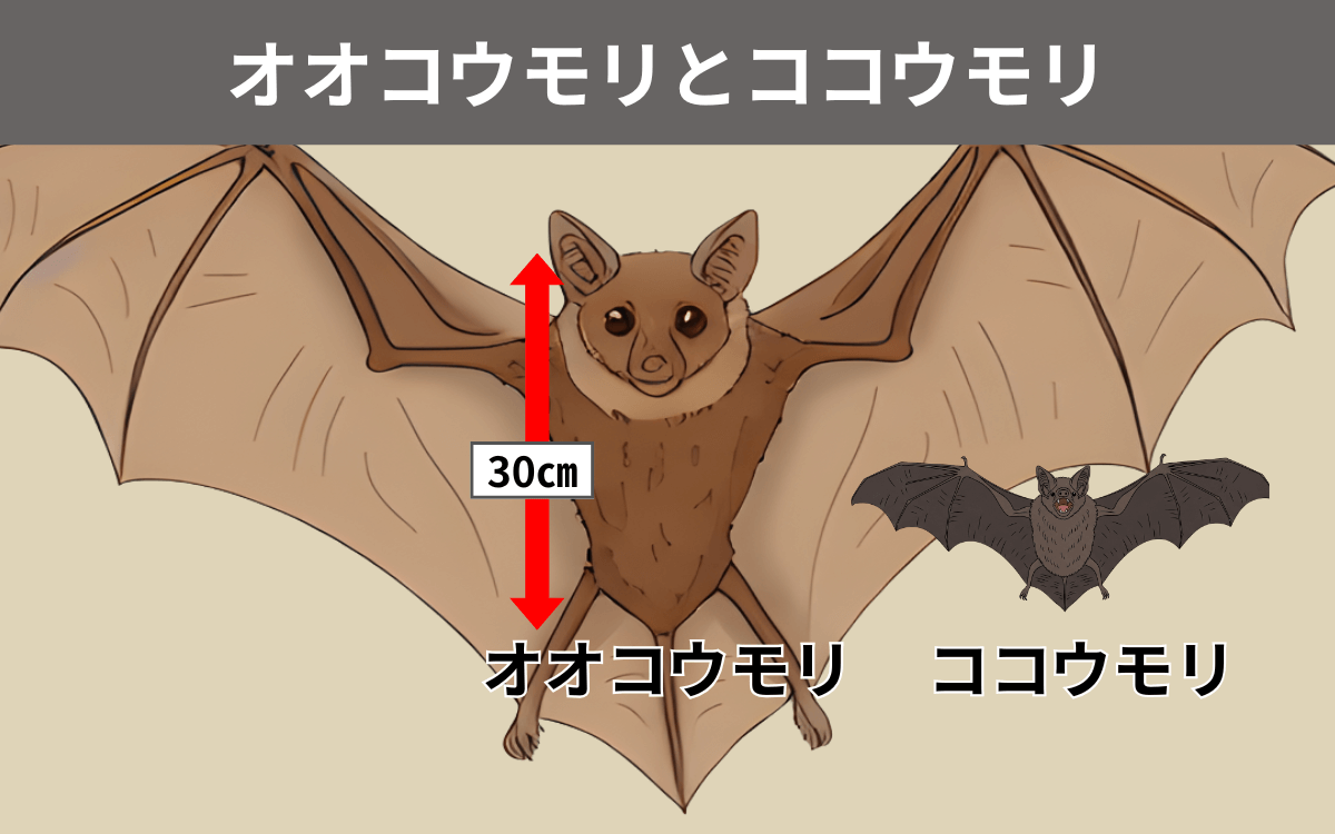 オオコウモリとココウモリ