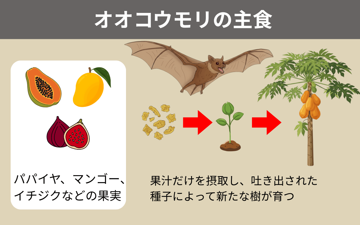 オオコウモリの主食