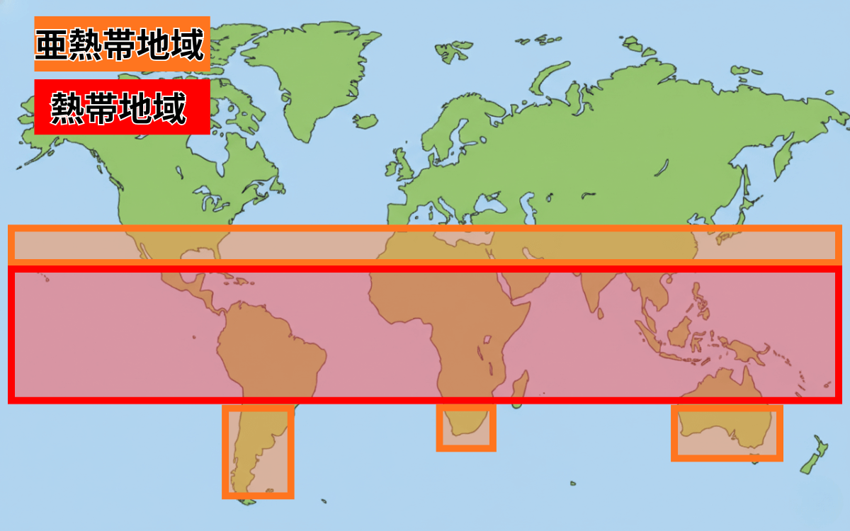 オオコウモリの生息地 2