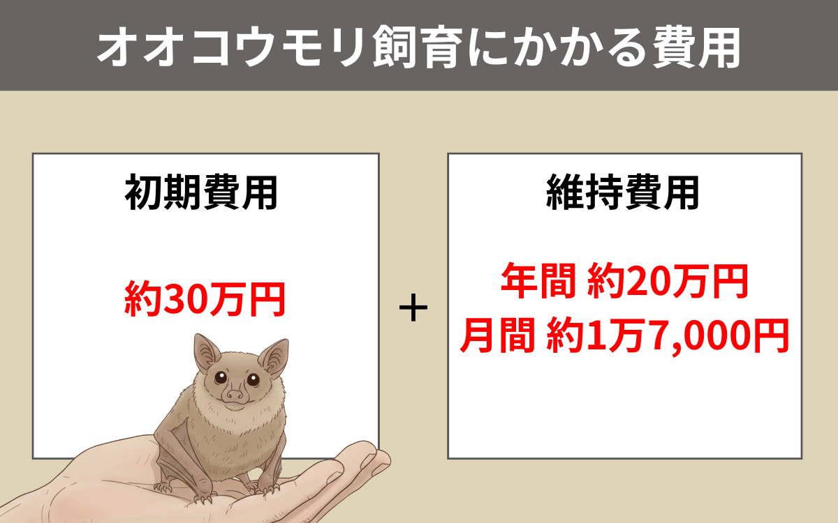 オオコウモリ飼育にかかる費用