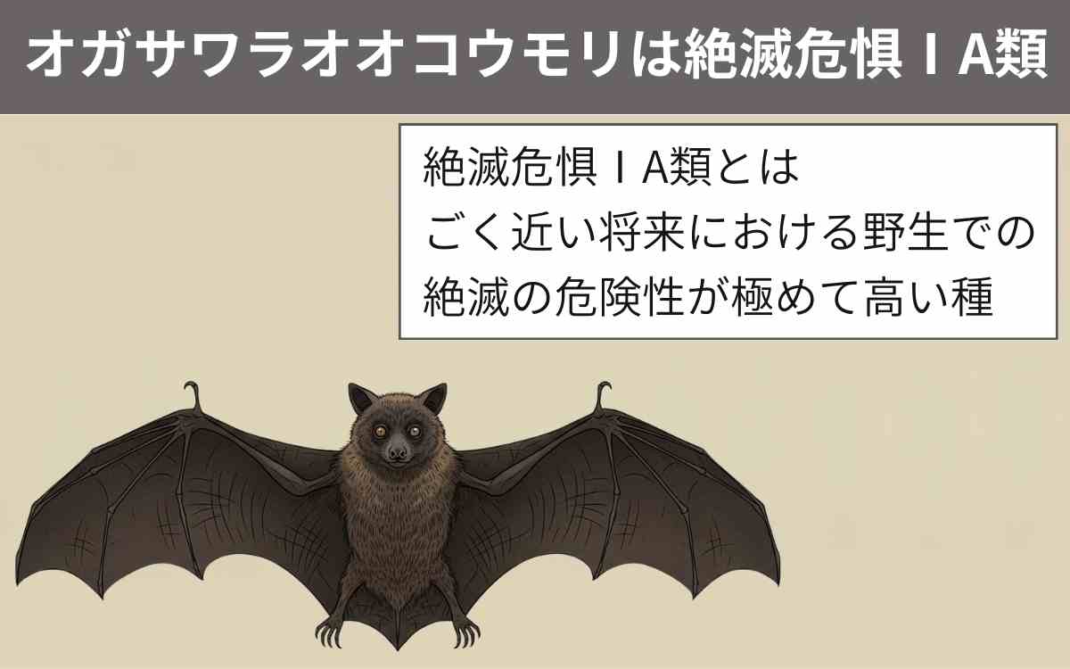 オガサワラオオコウモリは絶滅危惧ⅠA類