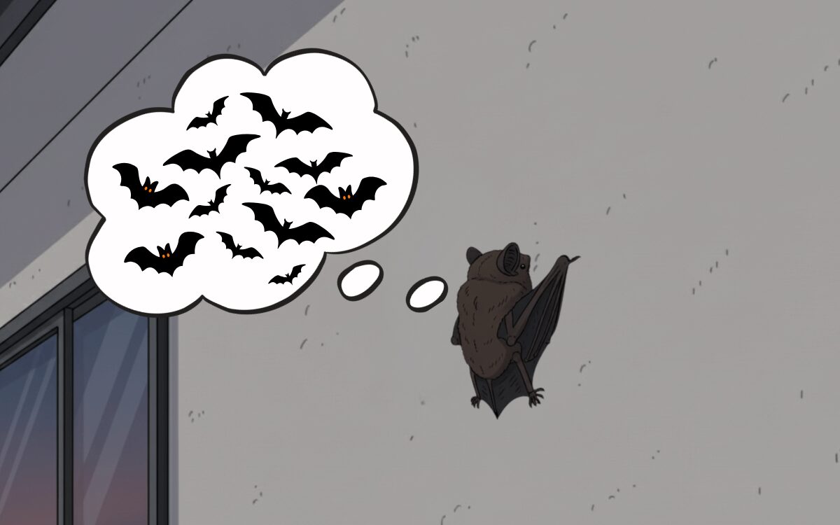 コウモリが1匹いたら集団で棲みついている可能性あり！