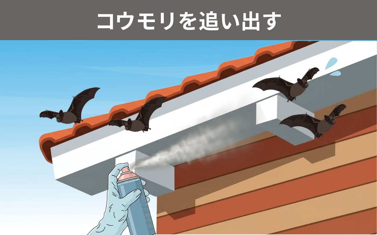 コウモリを追い出す