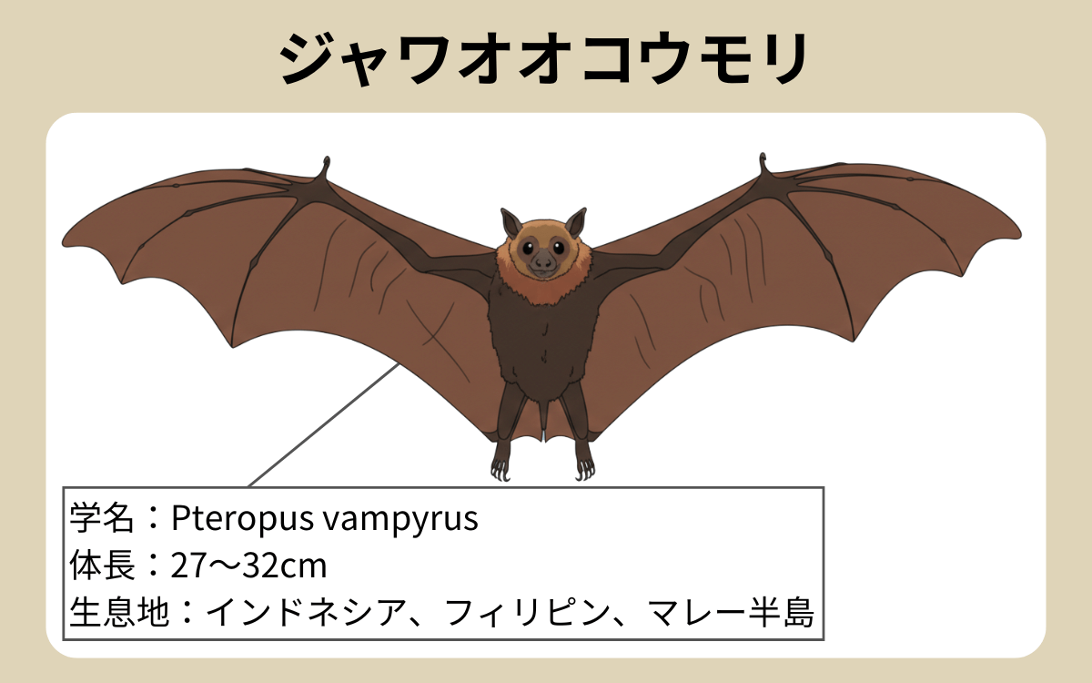 ジャワオオコウモリ