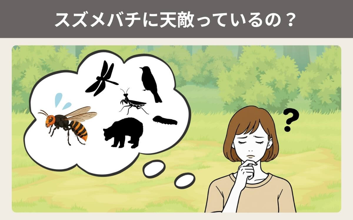 スズメバチに天敵っているの？