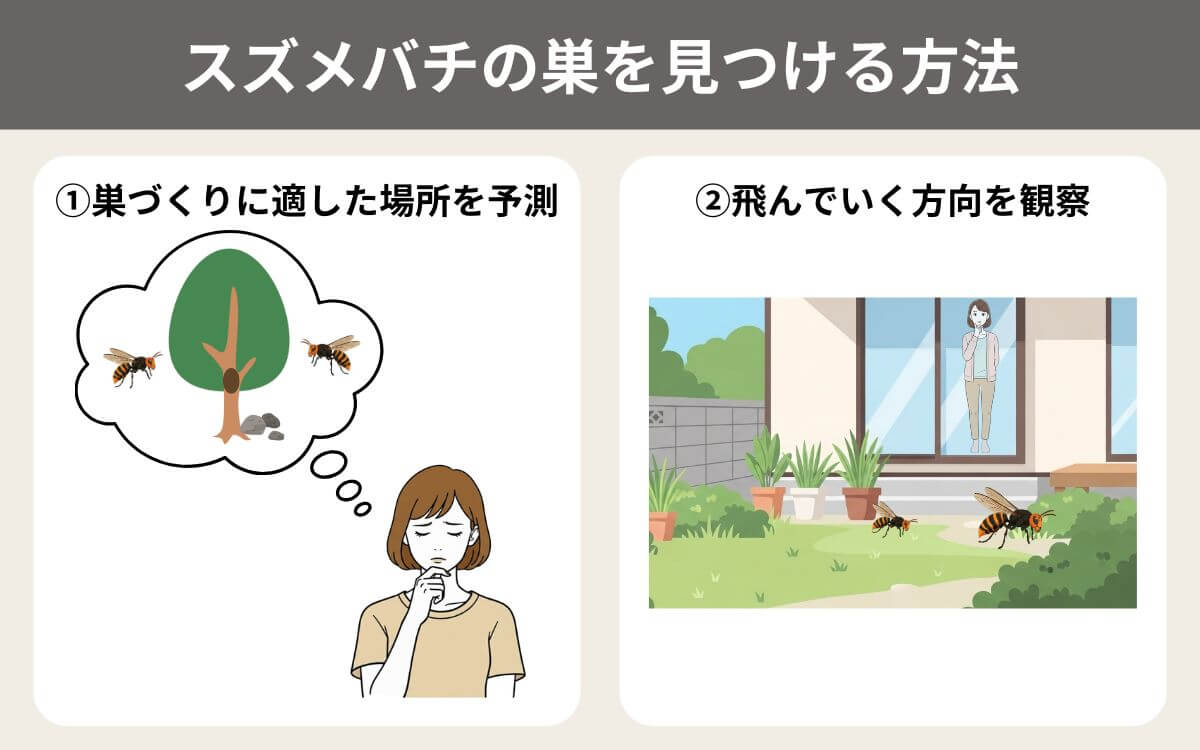 スズメバチの巣を見つける方法