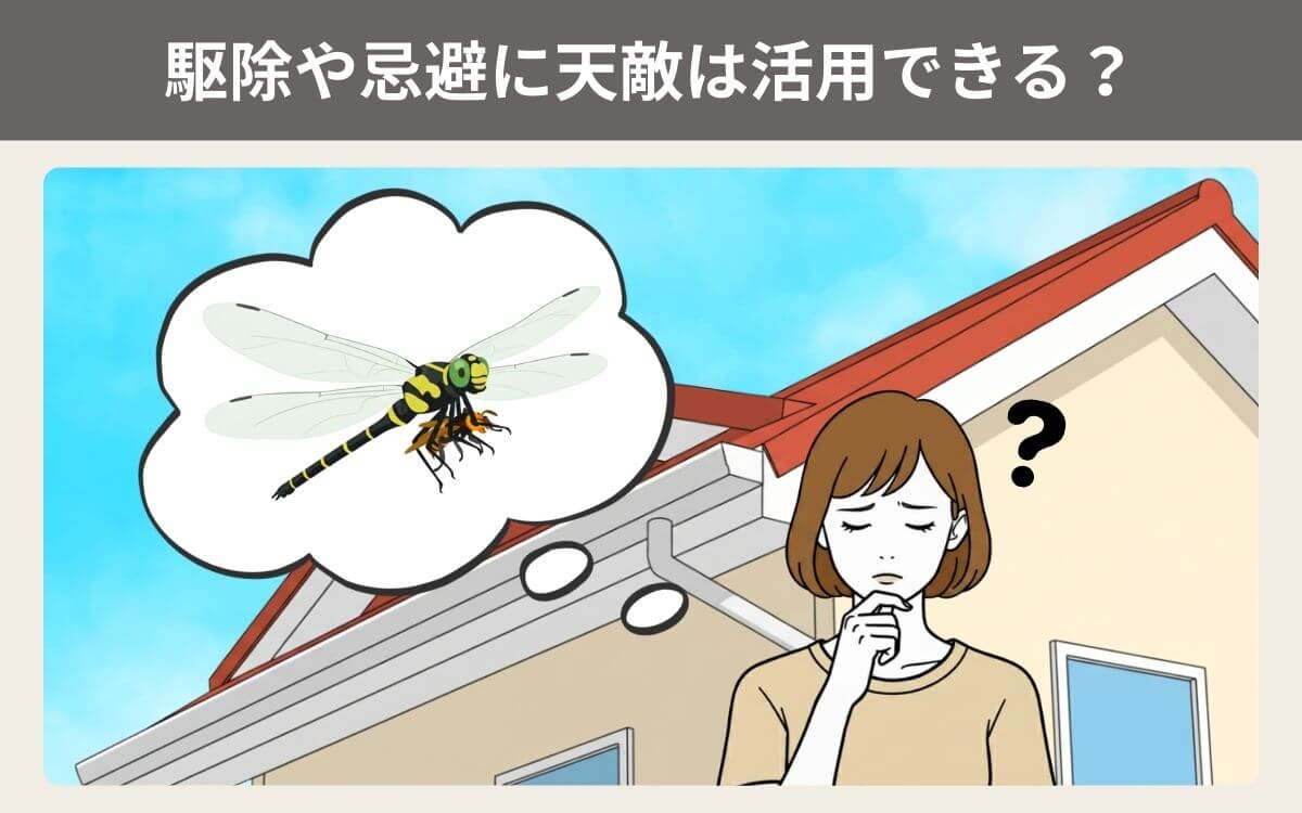 スズメバチの駆除や忌避に天敵は活用できる？