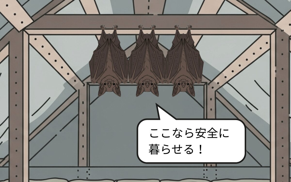 安全なねぐらを確保するため