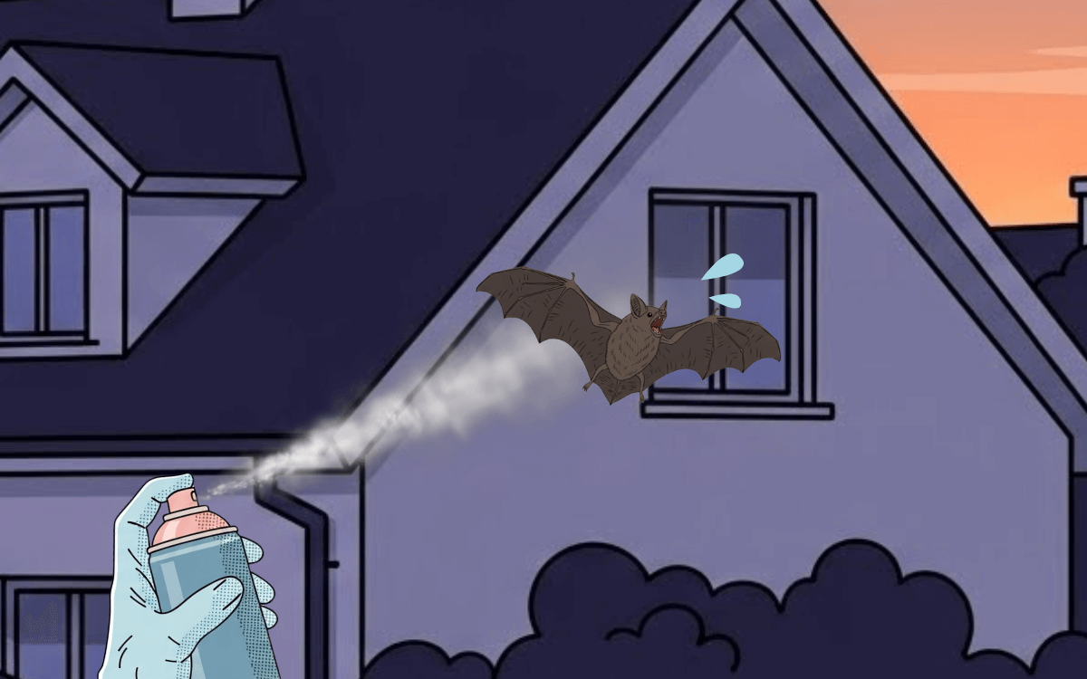 忌避スプレーで追い払う