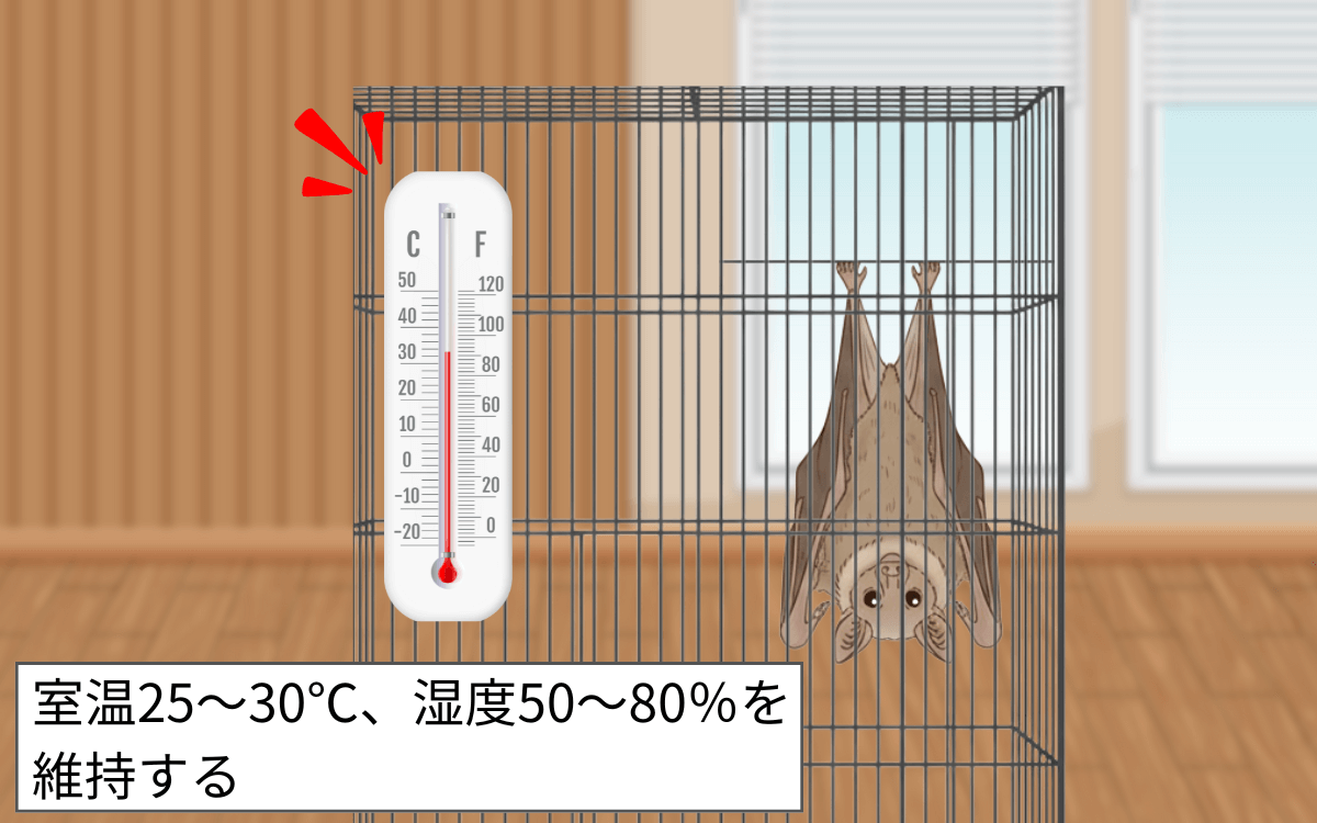 温度・湿度管理を徹底する