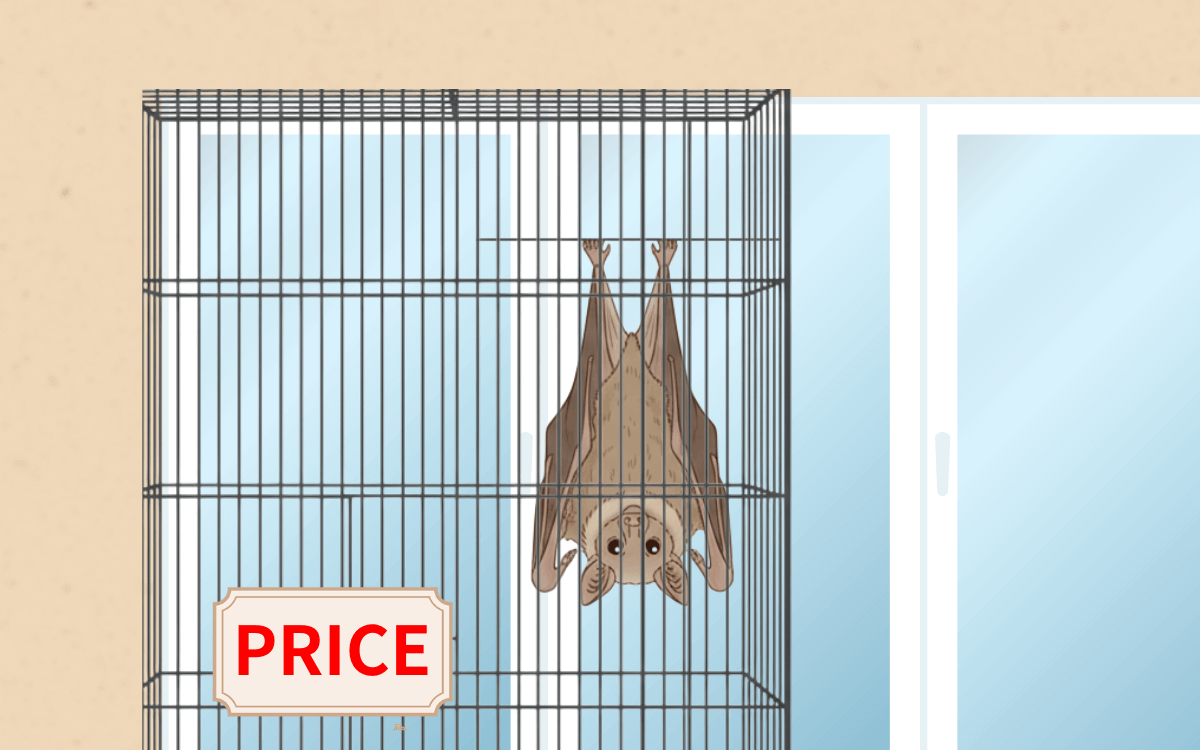 販売されているのはルーセットオオコウモリ