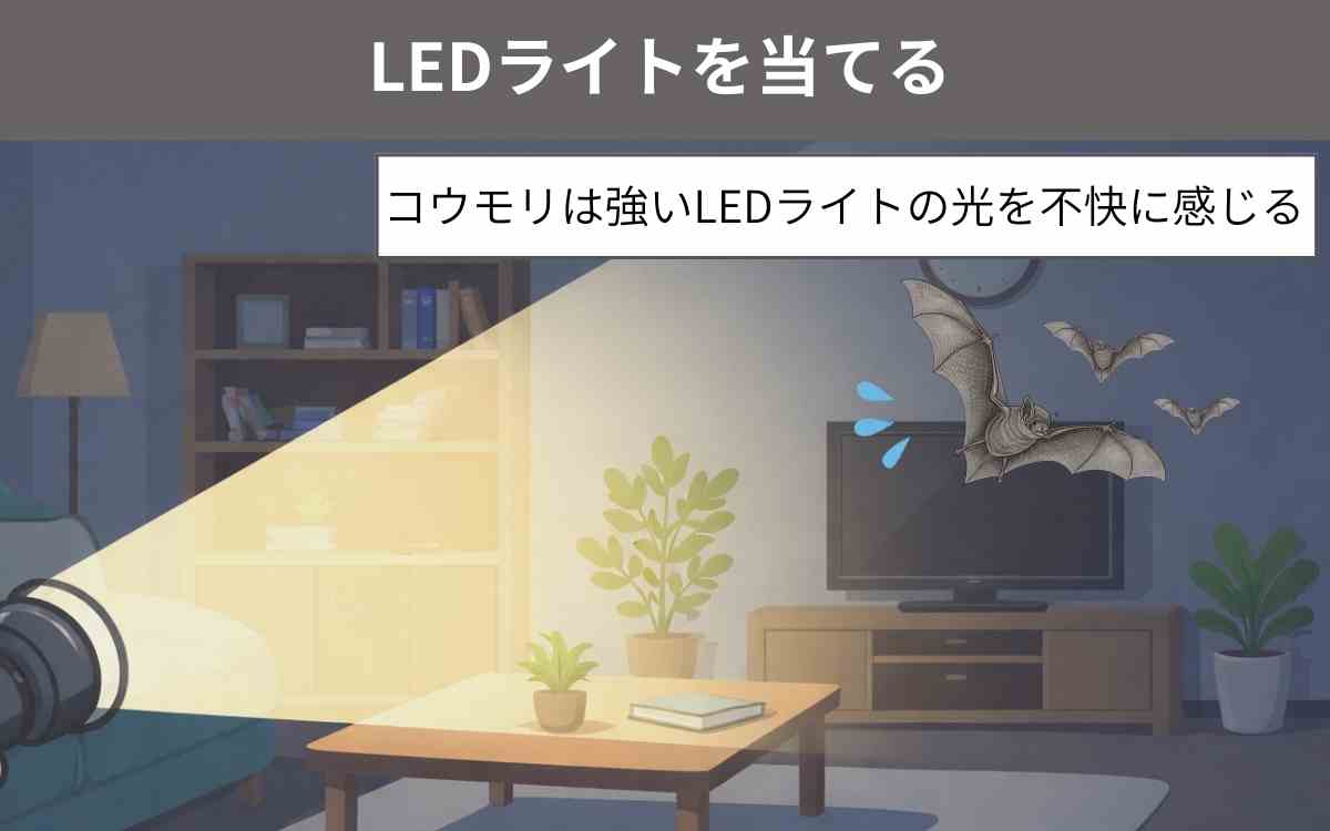LEDライトを当てる
