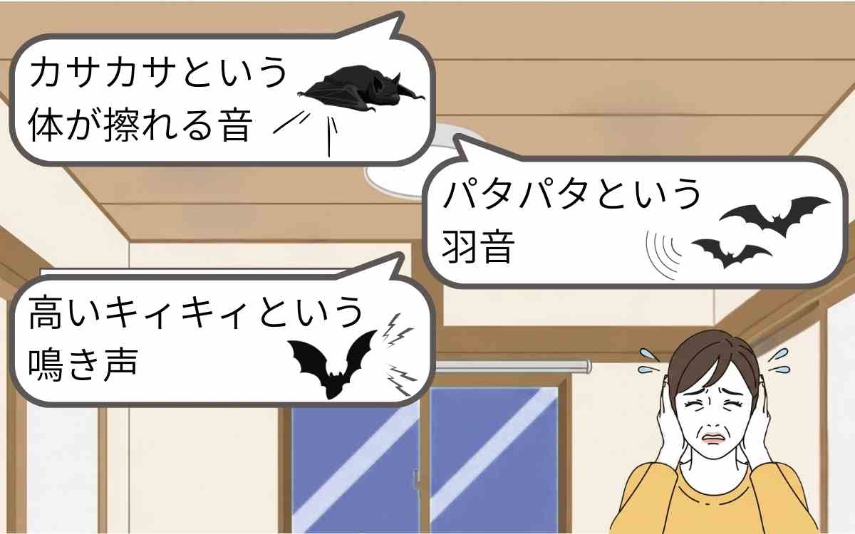 「カサカサ」「パタパタ」「キィキィ」という音が聞こえる