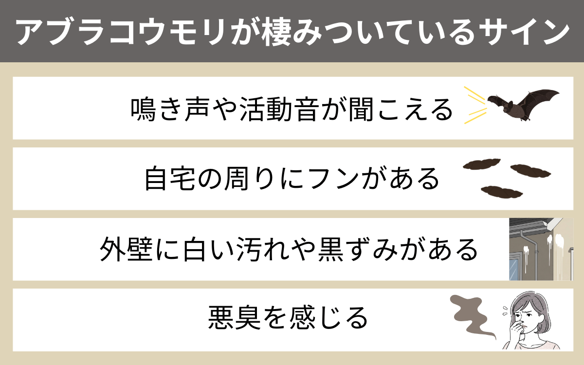 アブラコウモリが棲みついているサイン