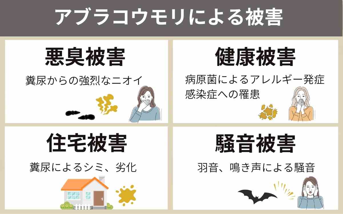 アブラコウモリが棲みついている場合の被害