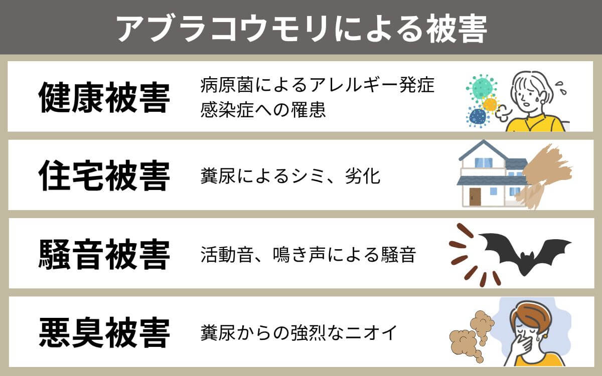 アブラコウモリによる被害