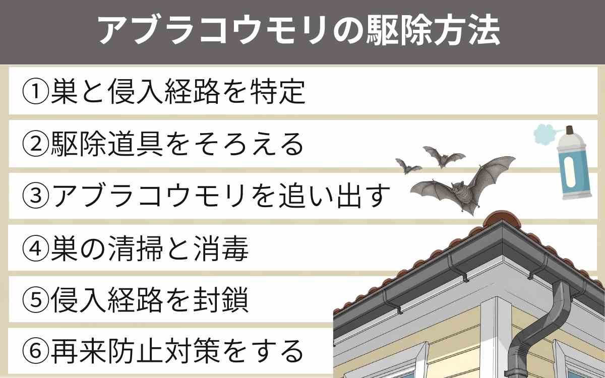 アブラコウモリの正しい駆除方法