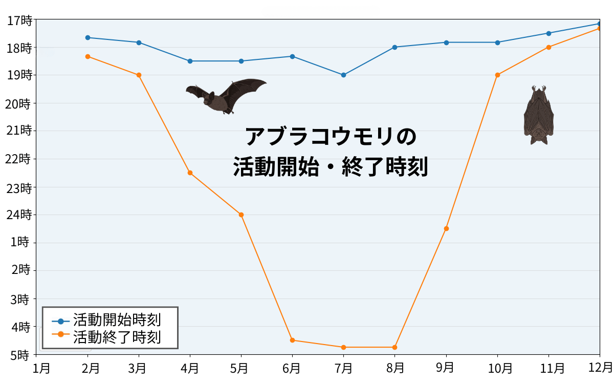 アブラコウモリの活動開始・終了時刻