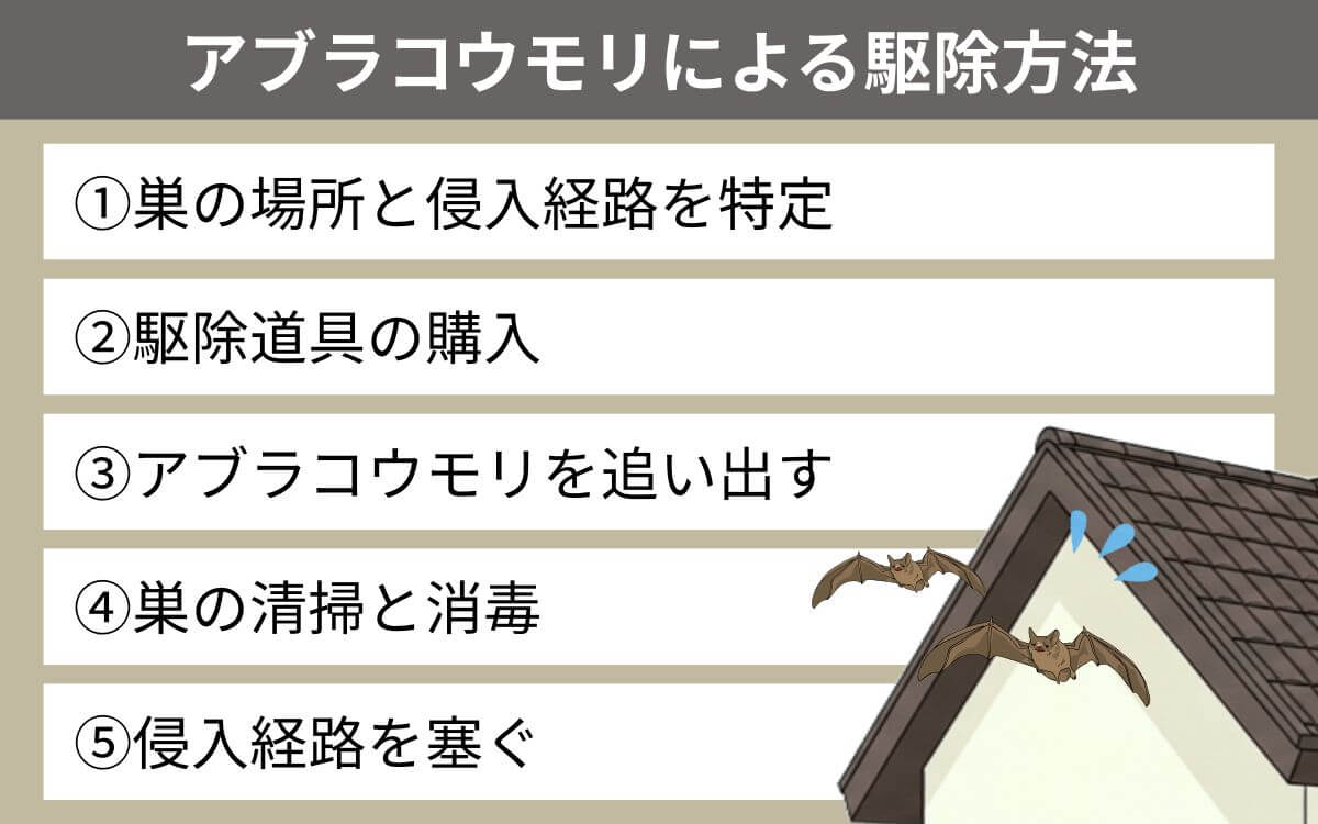 アブラコウモリの駆除方法