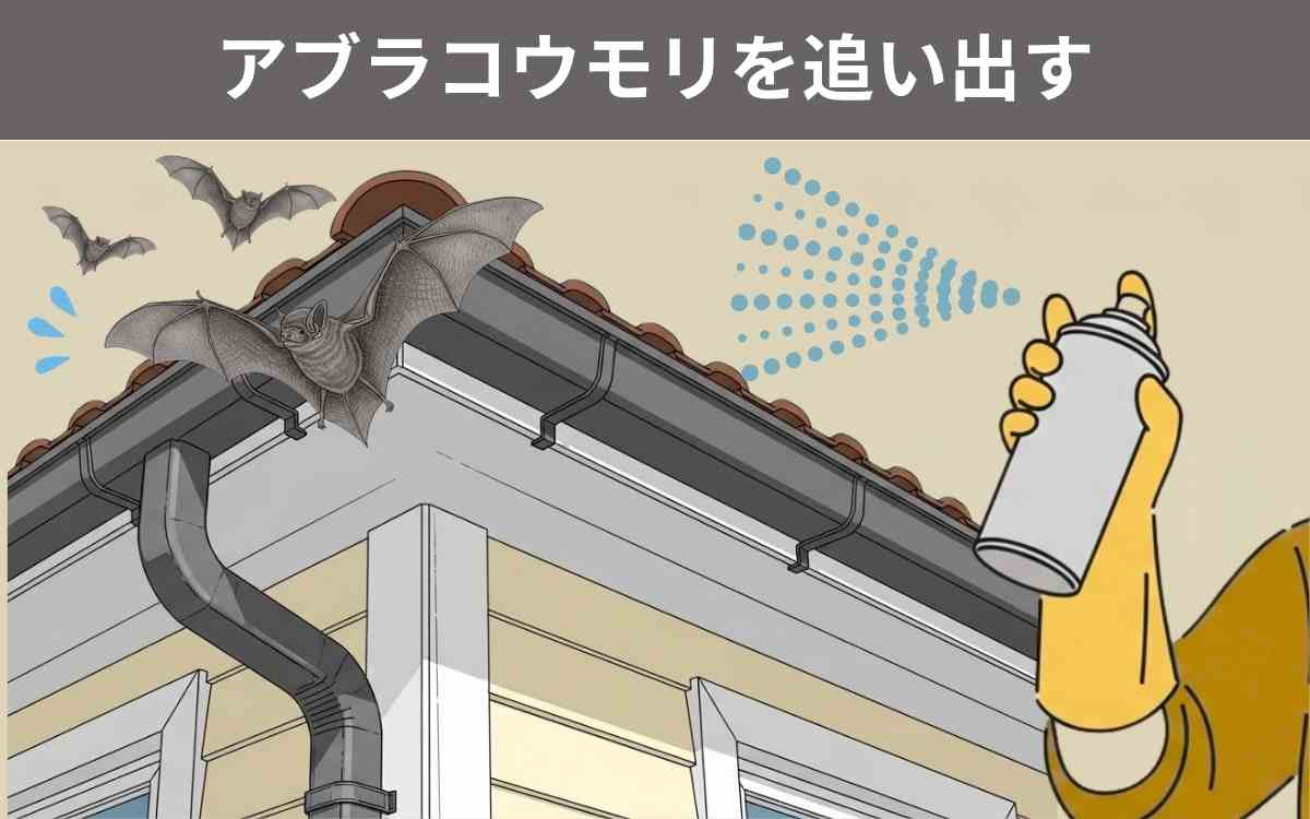 アブラコウモリを追い出す 1