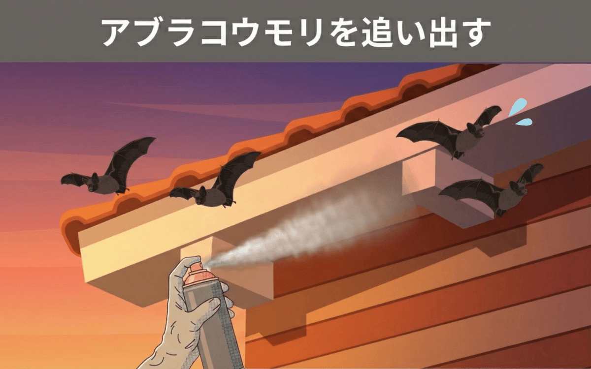 アブラコウモリを追い出す