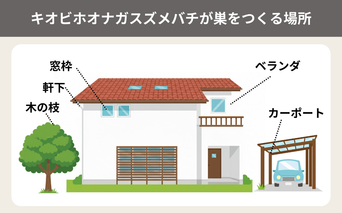 キオビホオナガスズメバチが巣をつくる場所一覧