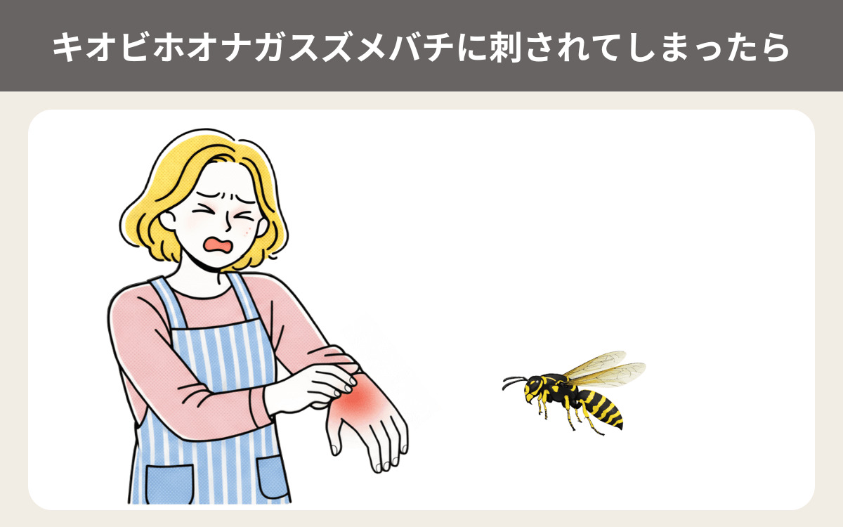 キオビホオナガスズメバチに刺されてしまったら