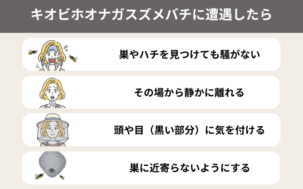 キオビホオナガスズメバチに遭遇したら