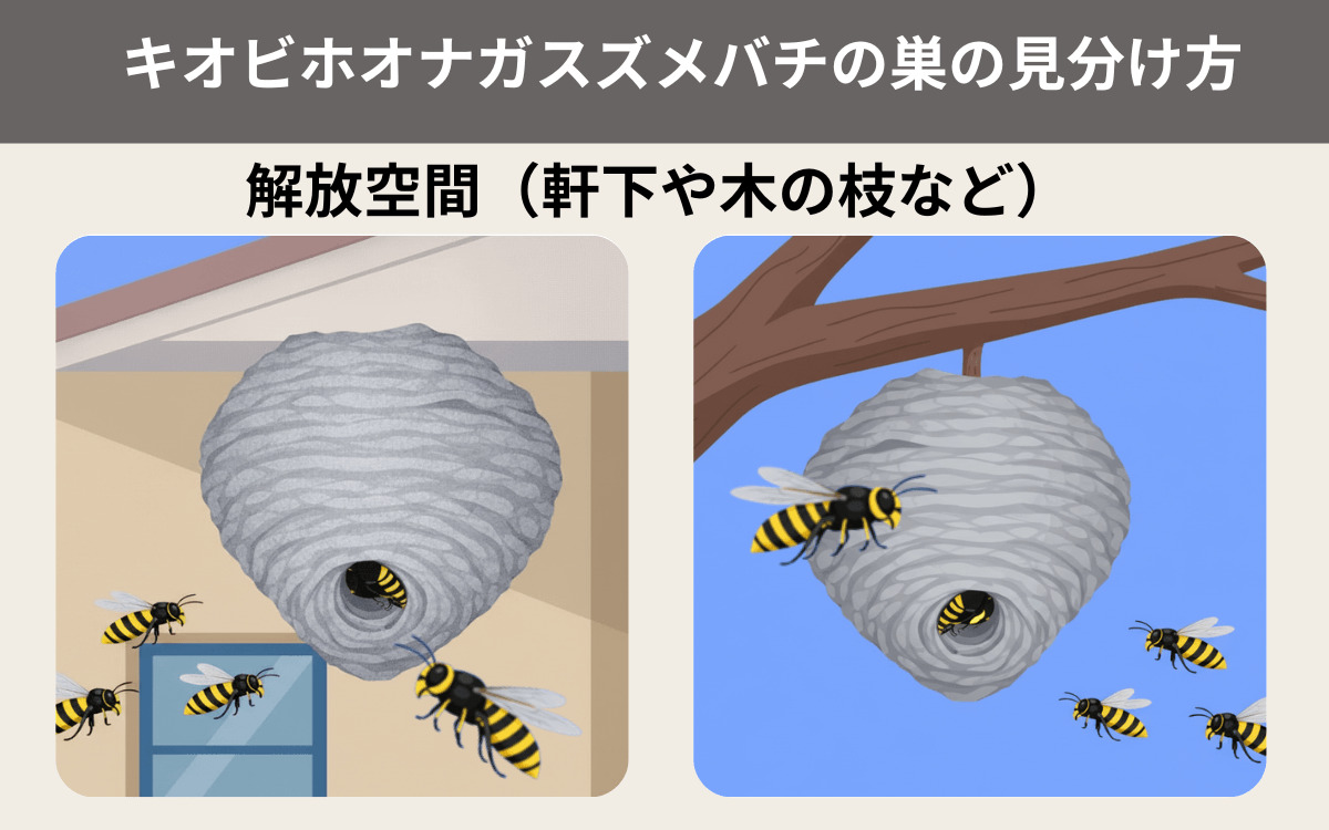 キオビホオナガスズメバチの巣の見分け方