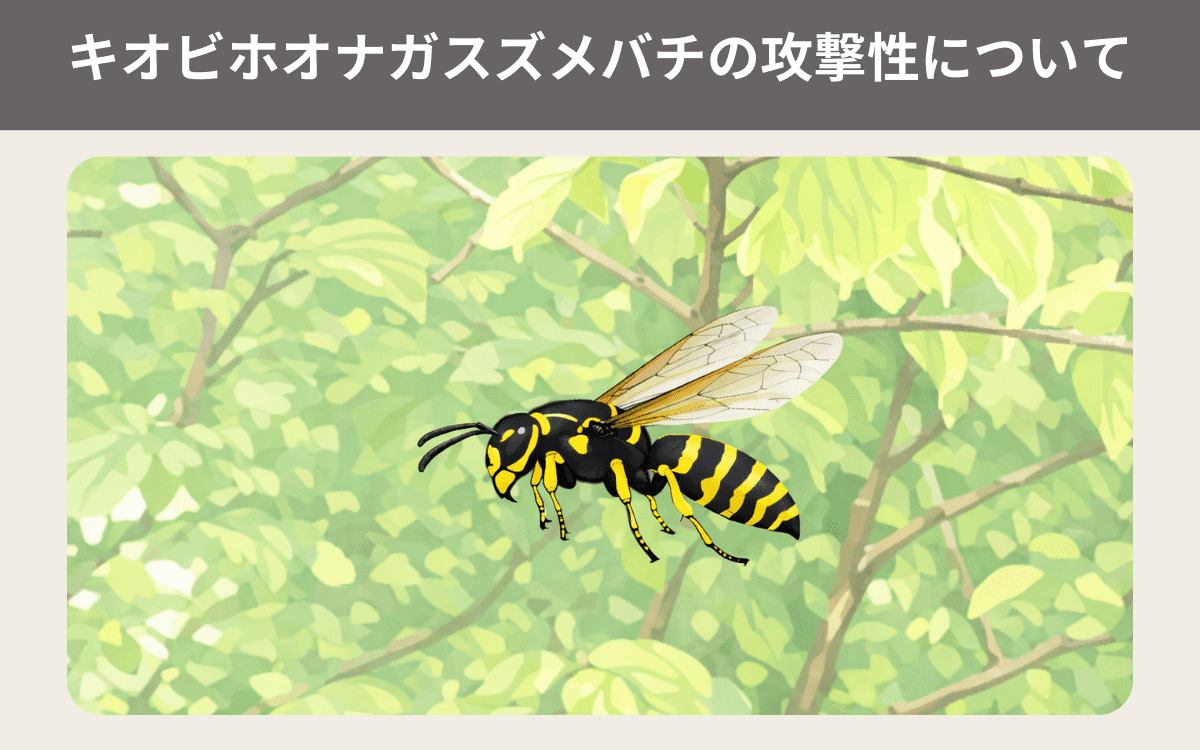 キオビホオナガスズメバチの攻撃性について