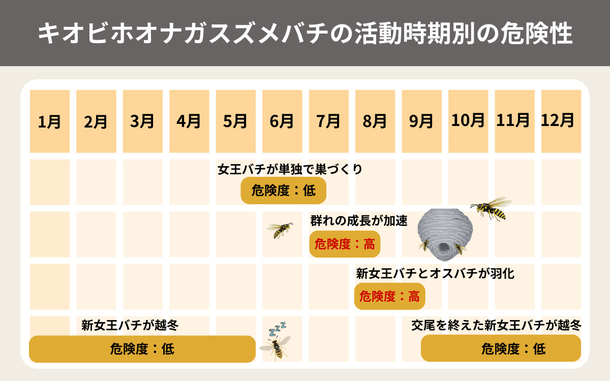キオビホオナガスズメバチの活動時期別の危険性