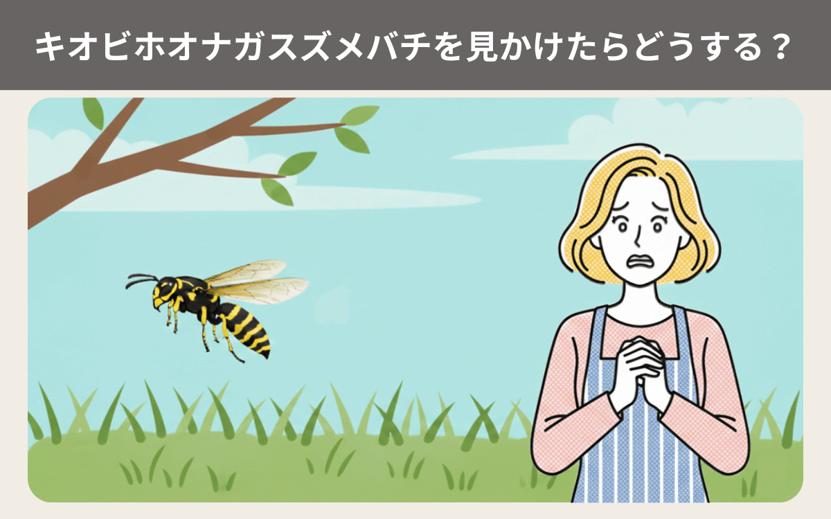 キオビホオナガスズメバチを見かけたらどうする？