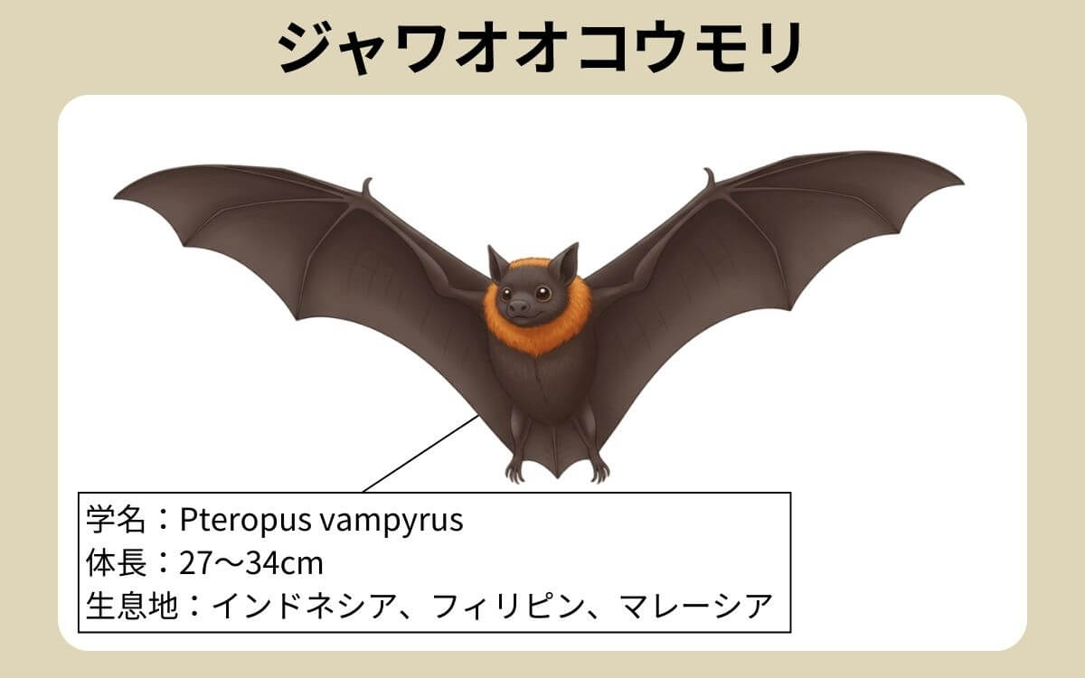 ジャワオオコウモリとは