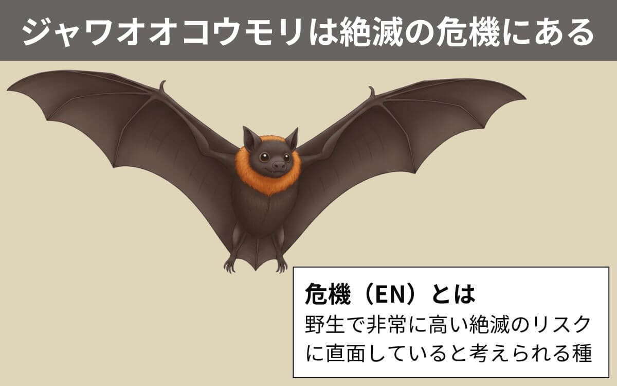 ジャワオオコウモリは絶滅の危機