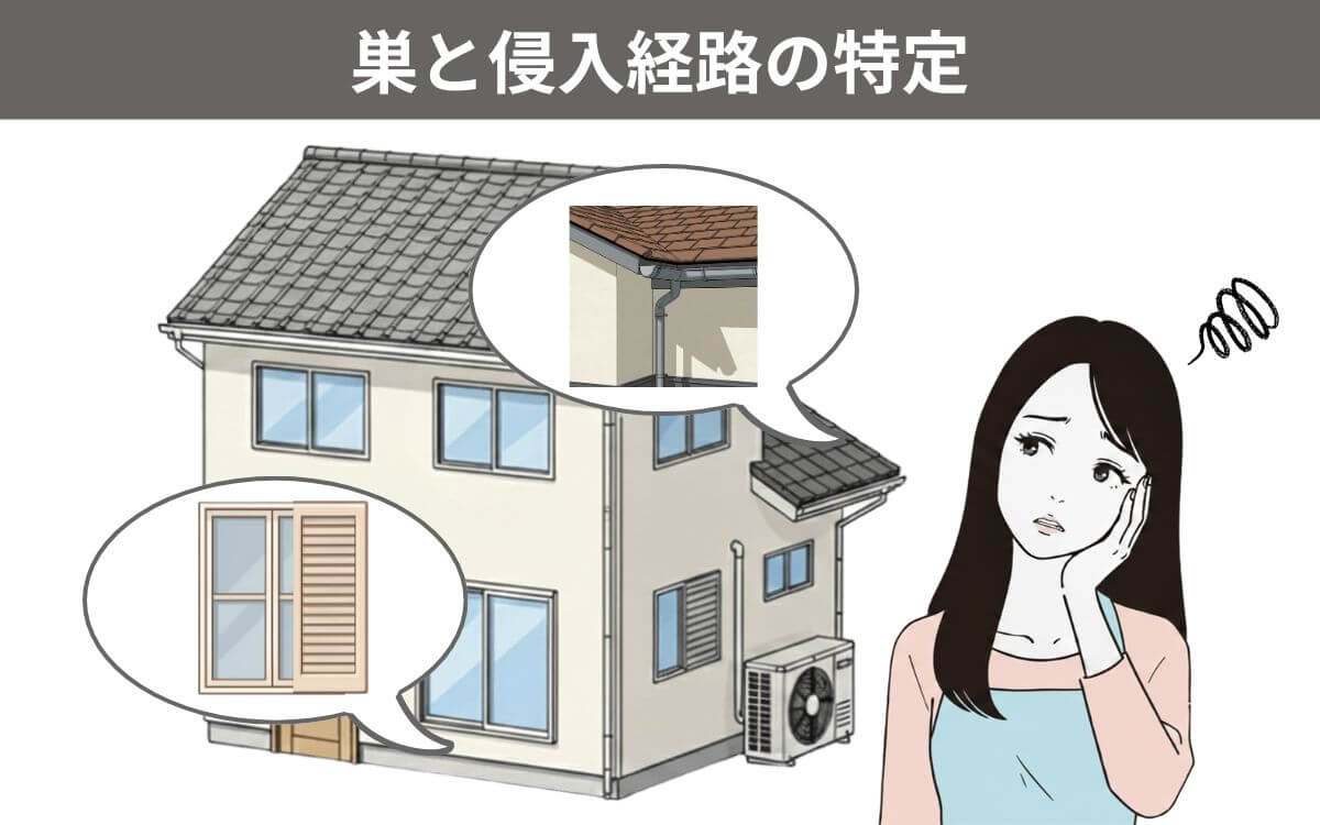 侵入経路の特定