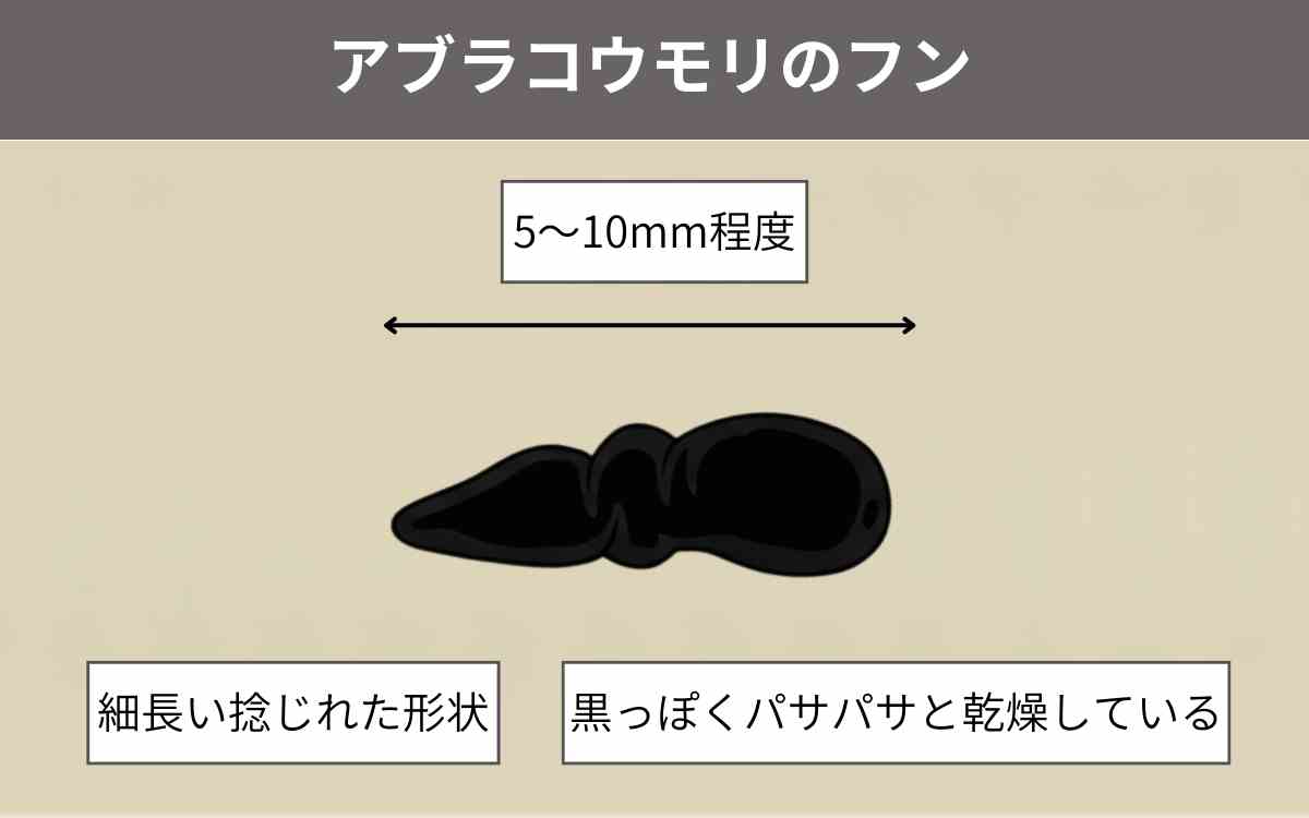 家のまわりにフンが落ちている