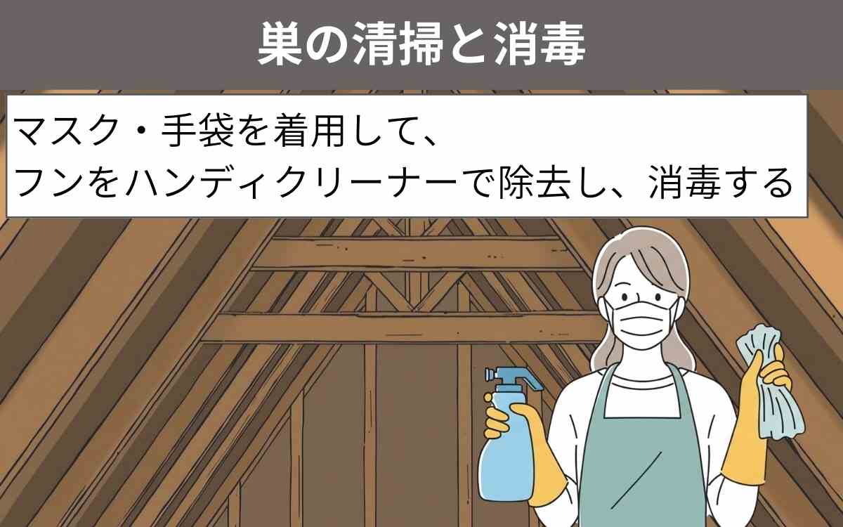 巣の清掃と消毒 1