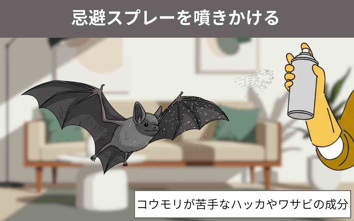 忌避スプレーを噴きかける