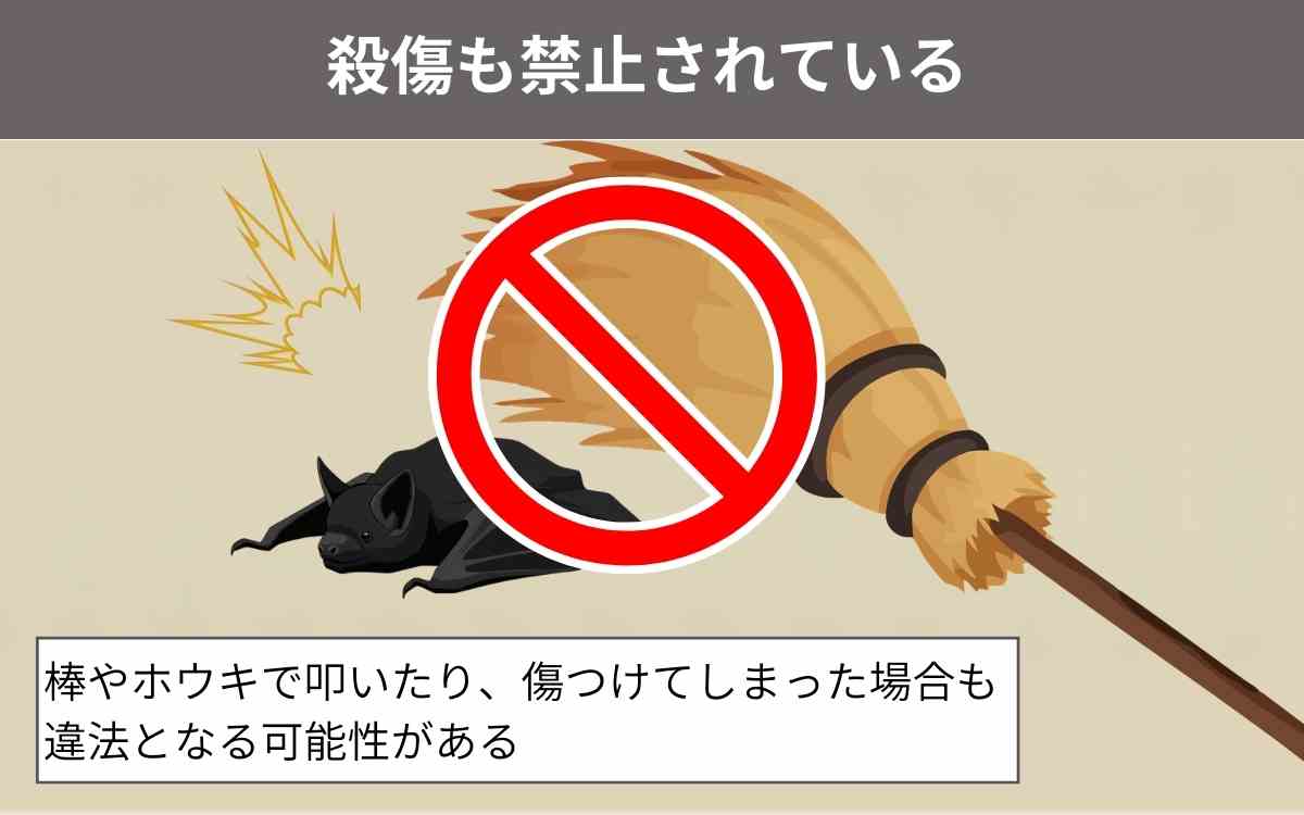 殺傷も禁止されている