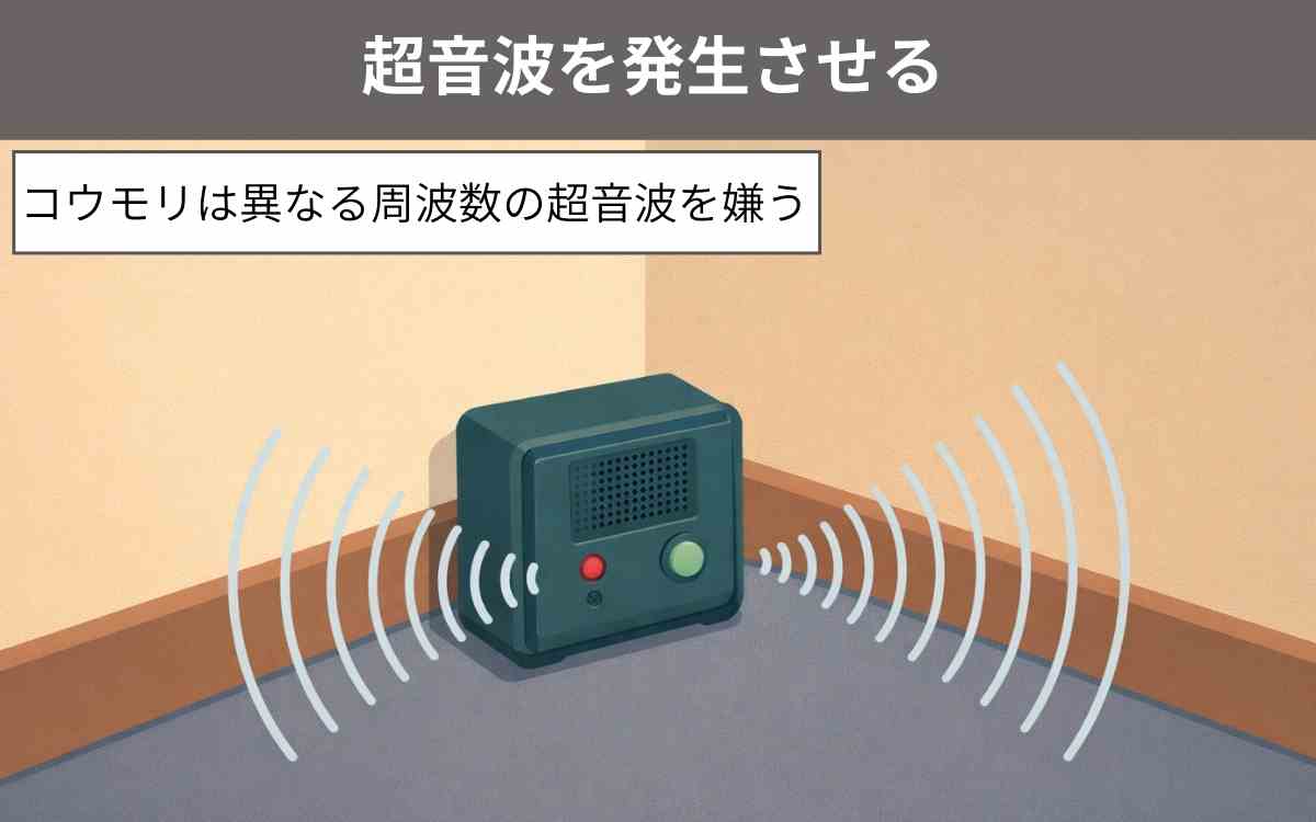 超音波を発生させる