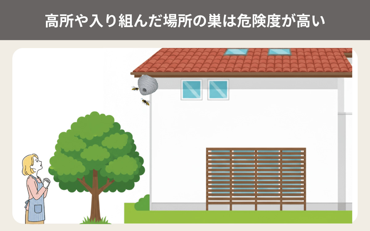高所や入り組んだ場所の巣は危険度が高い