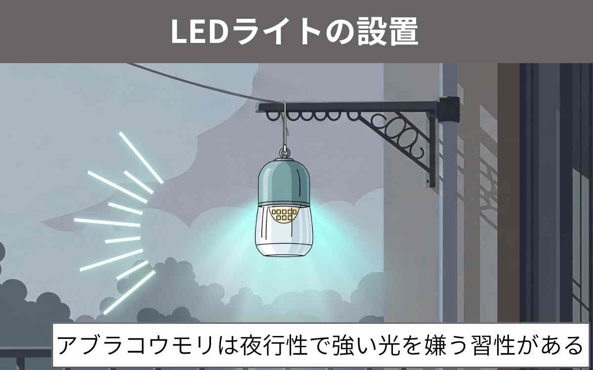 LEDライトの設置