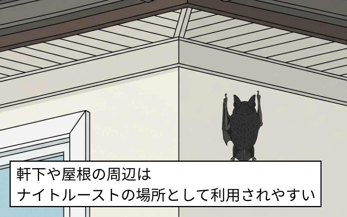 軒下・屋根の周辺