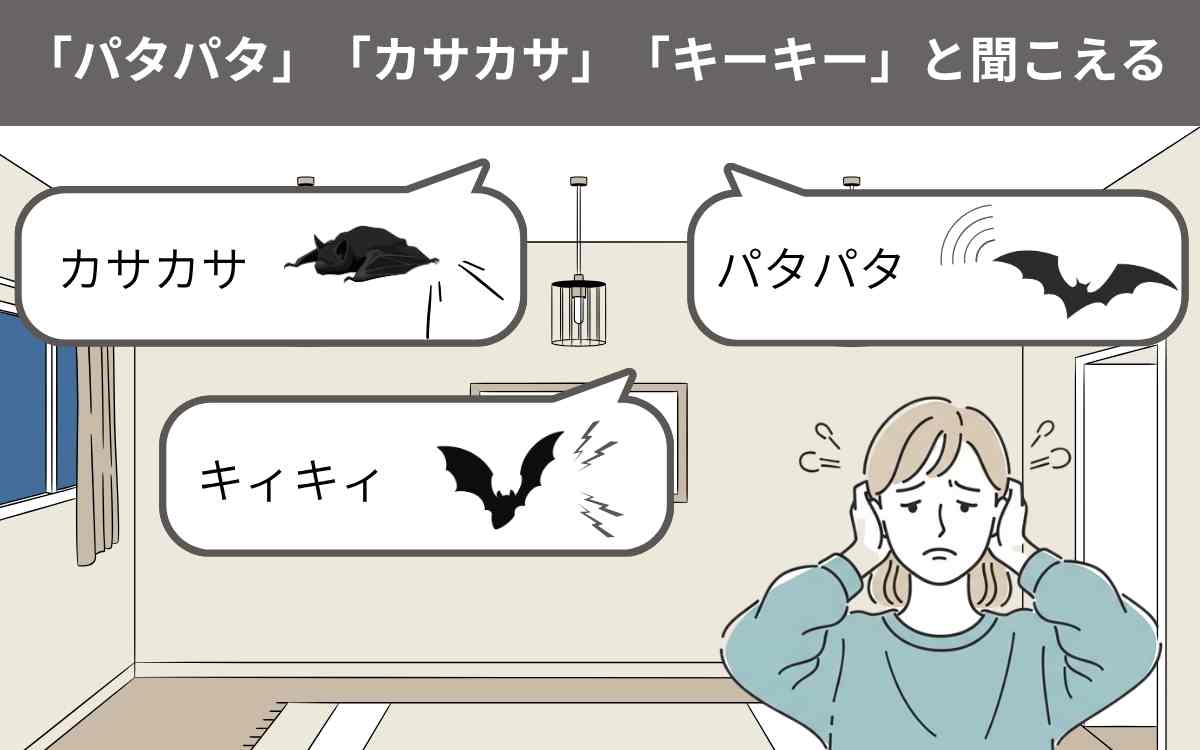 「パタパタ」「カサカサ」「キーキー」と聞こえる