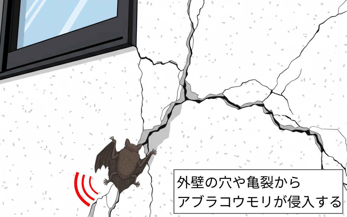 【侵入経路①】外壁の穴・亀裂